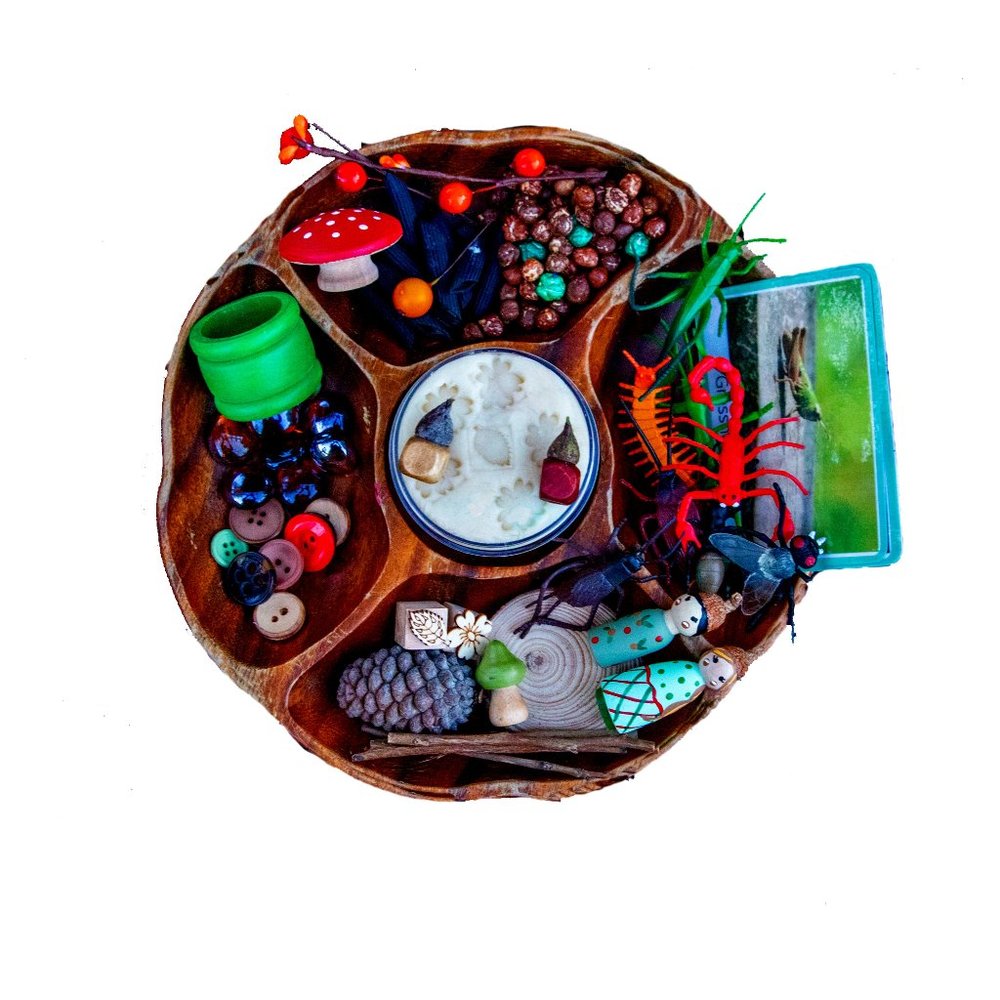 Sensory Kit | Montessori Toys | Bug Sensory Kit | Bug Kid Toys | Play Dough Kit